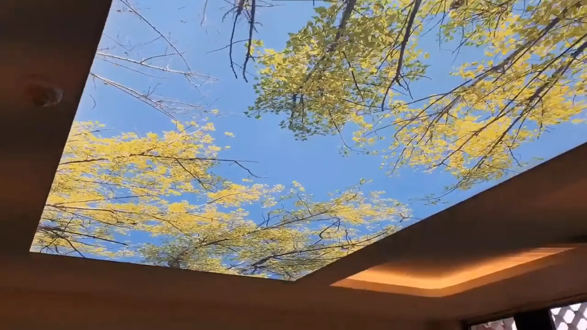 Балашиха, Северный микрорайон, 79, фото 3